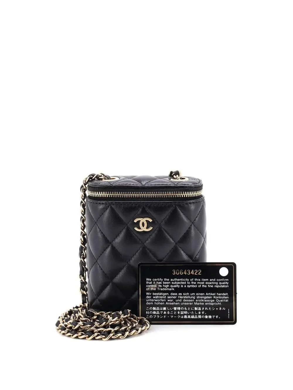 Chanel Vertical Classic Vanity Case #327317C27B